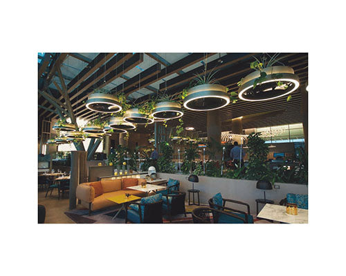 Ceiling Light PP24161