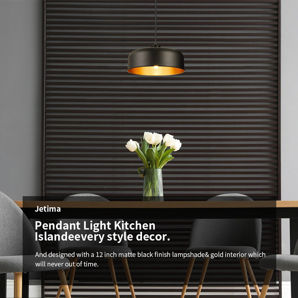 Industrial Pendant Light 12" 2 pack